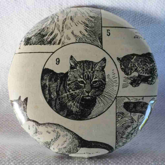 Chat Commun - Badge Encyclopédique Original - Ancienne Gravure