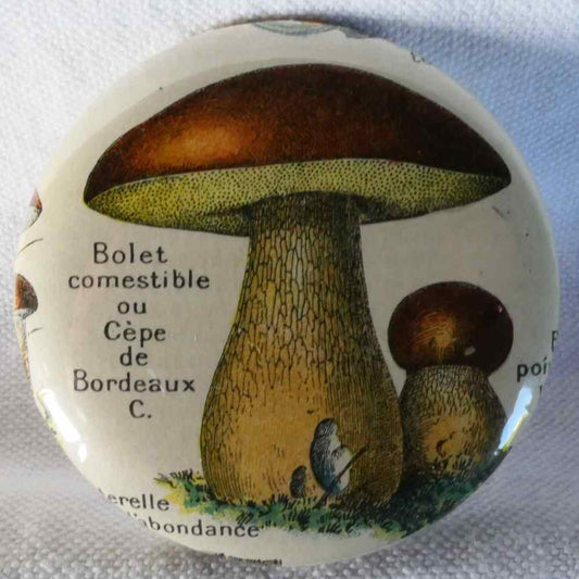 Bolet Comestible - Badge Encyclopédique Original - Ancienne Gravure