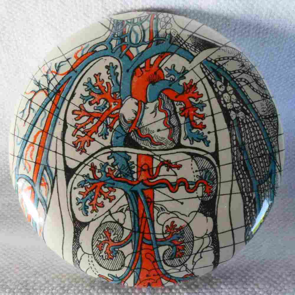 Anatomie - Badge Encyclopédique Original - Ancienne Gravure