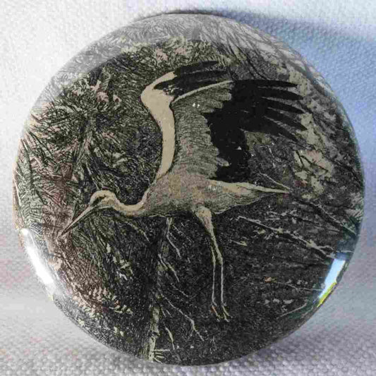 Cigogne - Badge Encyclopédique Original - Ancienne Gravure