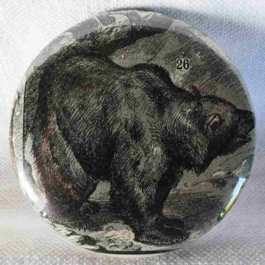 Ours Brun - Badge Encyclopédique Original - Ancienne Gravure