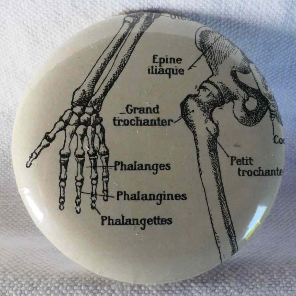 Main Squelette - Badge Encyclopédique Original - Ancienne Gravure