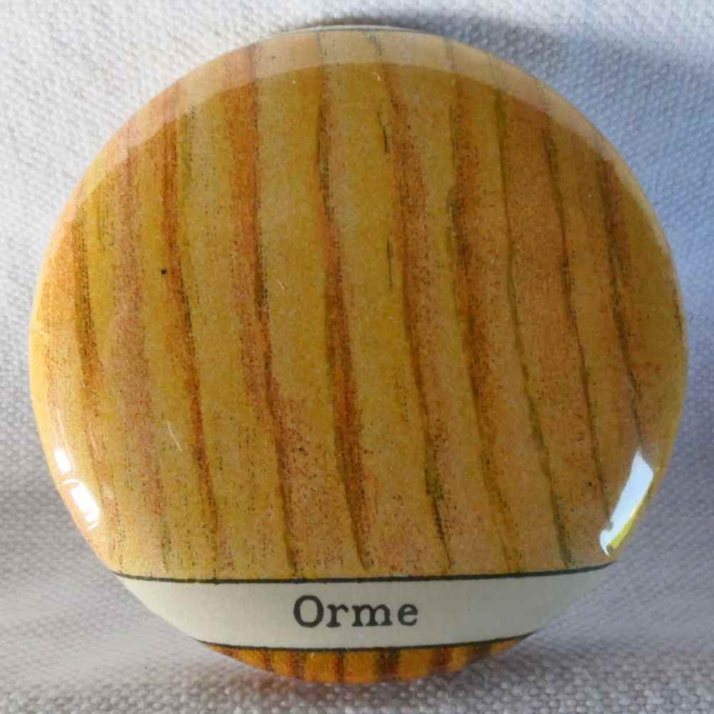 Bois Orme - Badge Encyclopédique Original - Ancienne Gravure