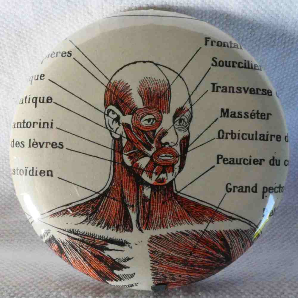 Anatomie - Badge Encyclopédique Original - Ancienne Gravure