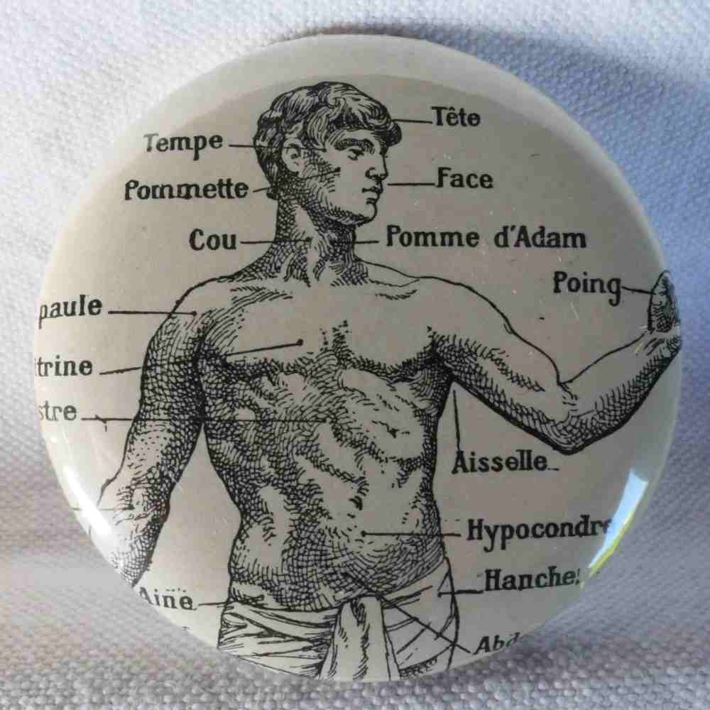 Anatomie - Badge Encyclopédique Original - Ancienne Gravure