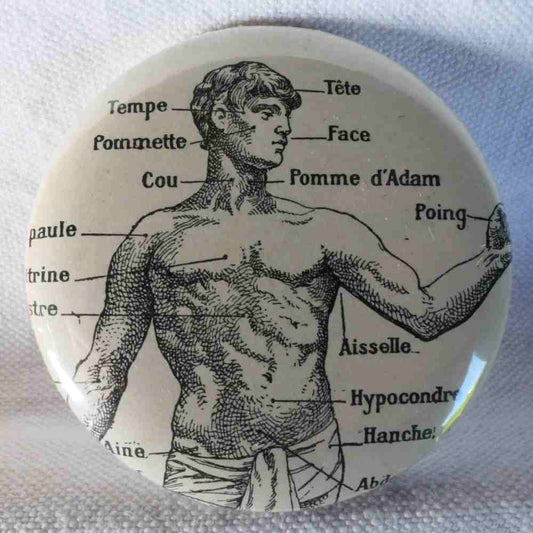 Anatomie - Badge Encyclopédique Original - Ancienne Gravure