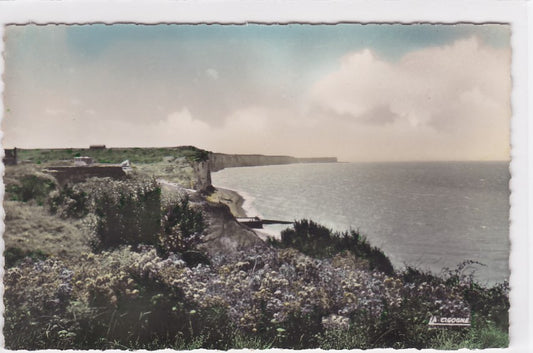 Carte Postale Ancienne CPA 76 Veules-Les-Roses - Vue Générale De La Plage