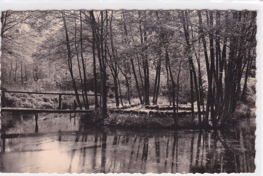 Carte Postale Semi-Moderne CPSM 37 Les Environs De Ste-Maure - Rives De La Manse