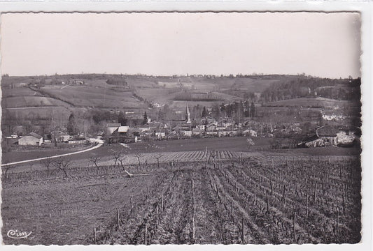 Carte Postale Semi-Moderne CPSM La Sauvetat-De-Savères - Vue Générale