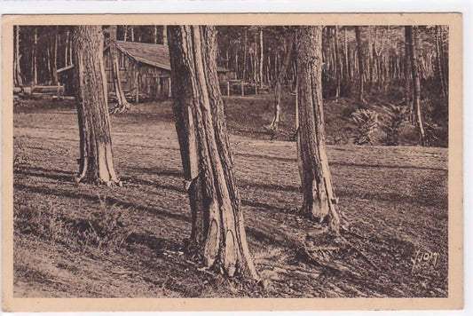 Carte Postale Ancienne CPA Les Landes De Gascogne - Les Suppliciés