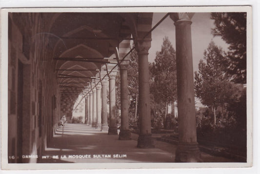 Carte Postale Ancienne CPA Syrie - Damas - Intérieur De La Mosquée Sultan Selim