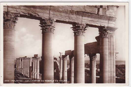 Carte Postale Ancienne CPA Syrie - Palmyra - Colonnade Du Temple Du Soleil