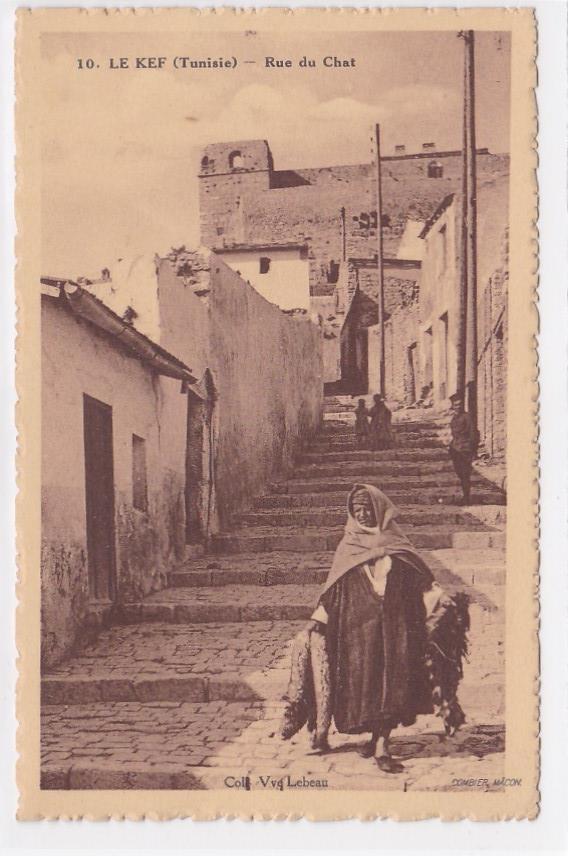 Carte Postale Ancienne CPA Afrique - Tunisie - Le Kef - Rue Du Chat