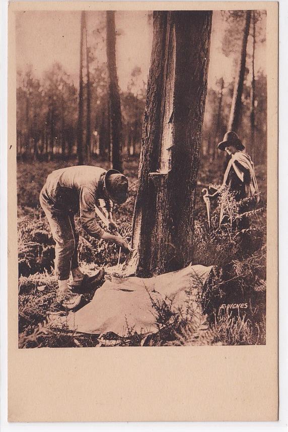Old Postcard CPA In The Landes Country The Resin Harvest By E. Vignes