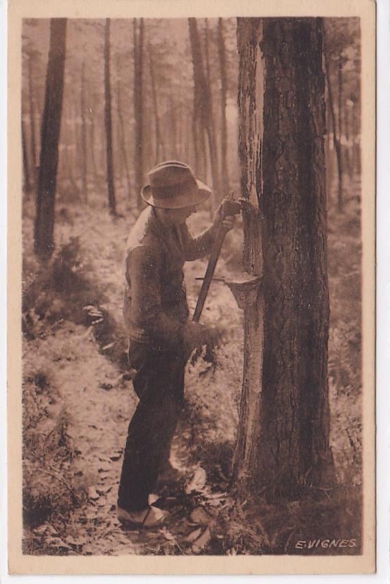 Old Postcard CPA 40 Landes - The Landes Resin Collector - E. Vignes