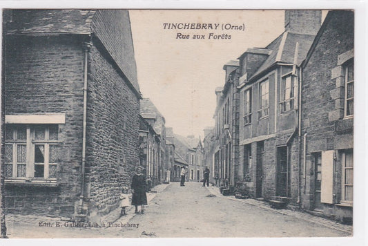 Carte Postale Ancienne CPA Orne 61 Tinchebray - Rue Aux Forêts