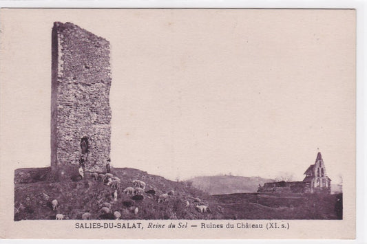 Carte Postale Ancienne CPA 31 Salies-Du-Salat - Reine Du Sel - Ruines Du Château