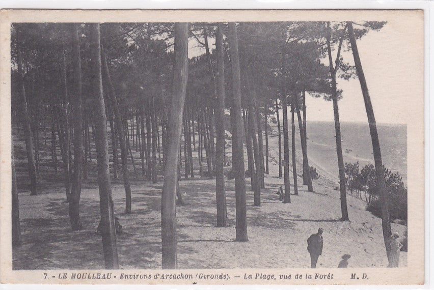 Old Postcard CPA 33 Le Moulleau - The Beach Seen From the Forest