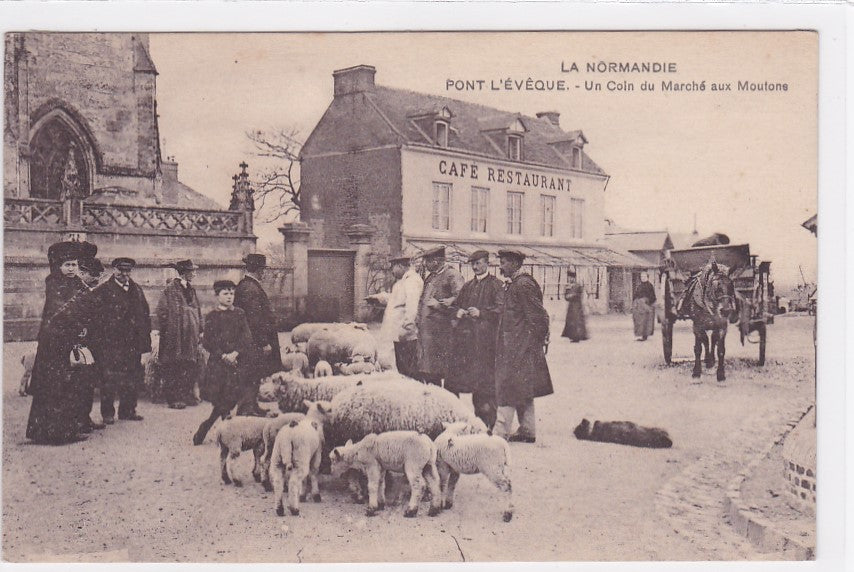Carte Postale Ancienne CPA 14 - Pont-L'Évêque - Un Coin Du Marché Aux Moutons