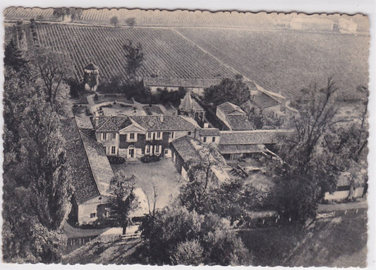 Carte Postale CPSM Gironde 33 Château De Corbin À Saint-Émilion - Joseph Giraud