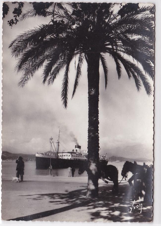Carte Postale CPSM Corse 20 2A - Ajaccio - Quai Napoléon Et Le Pascal Paoli