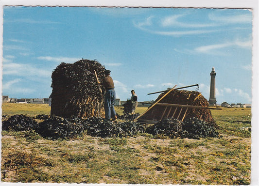 Carte Postale CPSM 29 Ramasseurs De Goémons À Penmarc'h - Phare D'Eckmühl