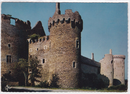 Carte Postale Semi-Moderne CPSM 56 Bretagne Morbihan - Château De Suscinio
