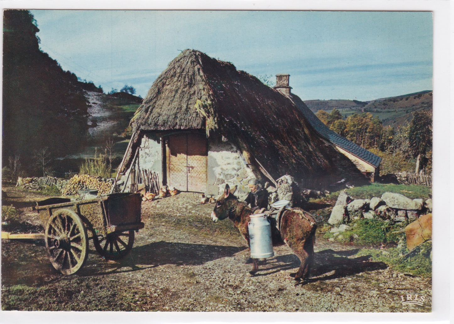 Carte Postale CPSM En Auvergne - Vieux Buron Au Toit De Chaume