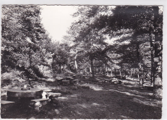 Carte Postale CPSM 61 Bagnoles-De-L'Orne Sous-Bois Chapelle Sainte-Geneviève