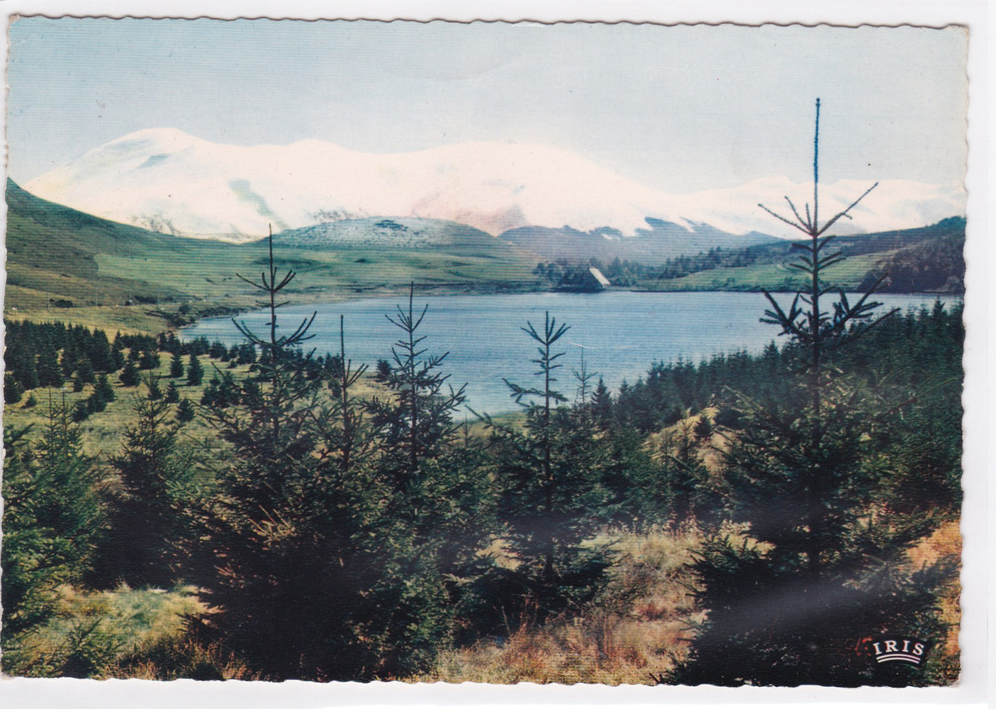 Carte Postale CPSM 63 Lac De Guery - Au Fond Le Massif Du Sancy