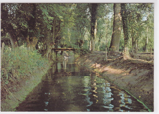 Carte Postale CPM 79 Le Marais Poitevin - La Venise Verte - Une Conche