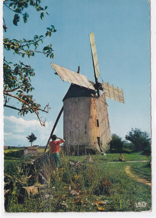 Carte Postale CPSM 85 Vendée - Bocage Vendéen - Moulin De Ste-Catherine (15e S.)