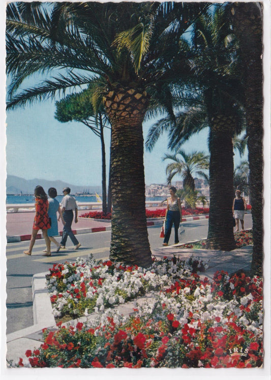 Carte Postale CPSM 06 Reflets De La Côte D'Azur - Cannes - Sur La Croisette