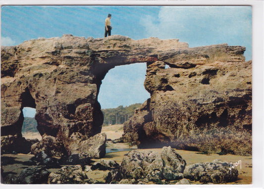 Carte Postale CPSM 17 Saint-Palais-Sur-Mer - Le Pont Du Diable