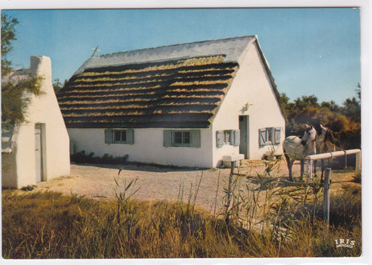 Carte Postale CPM 13 En Camargue Avec Les Gardians Près Des Marais Les Cabanes