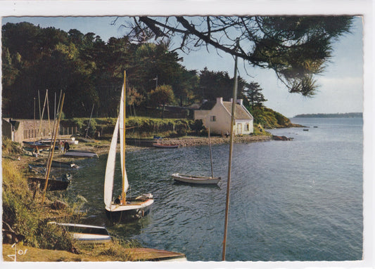 Carte Postale CPSM 56 L'Île Aux Moines - Soir D'Été Sur Le Centre Nautique