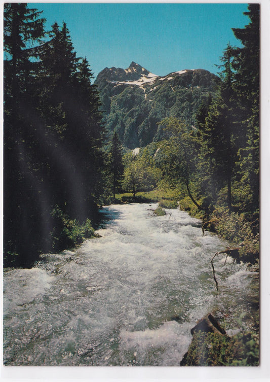 Carte Postale CPM 38 Environs De La Ferrière-D'Allevard Le Bréda Fond-De-France