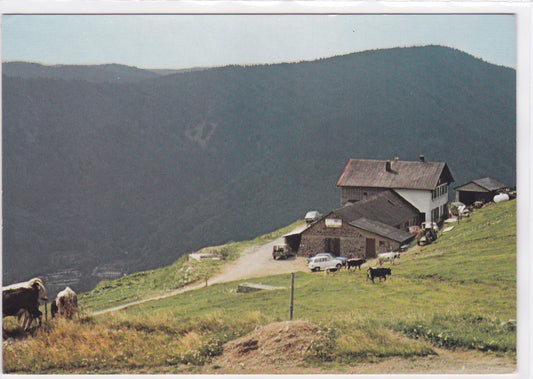 Carte Postale CPM 67 Ferme-Auberge Sur La Route Des Crêtes