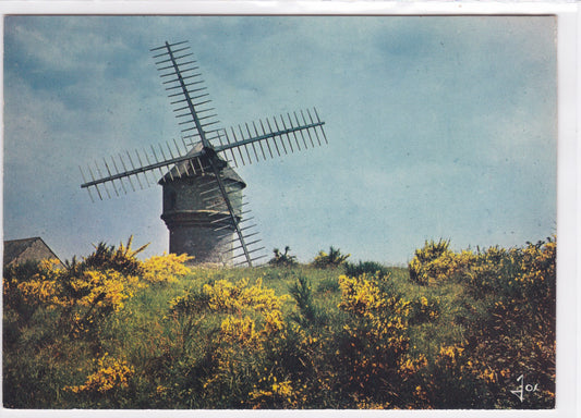 Carte Postale CPM 44 Presqu'île De Guérande - Le Moulin Du Diable