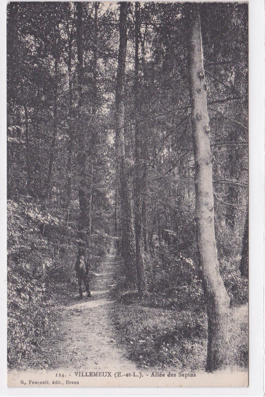 Carte Postale CPA 28 Villemeux - Allée Des Sapins