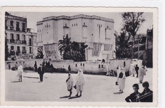 Carte Postale CPSM Afrique - Algérie - Alger - Maison Indigène