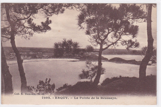 Carte Postale CPA 22 Erquy - La Pointe De La Heussaye