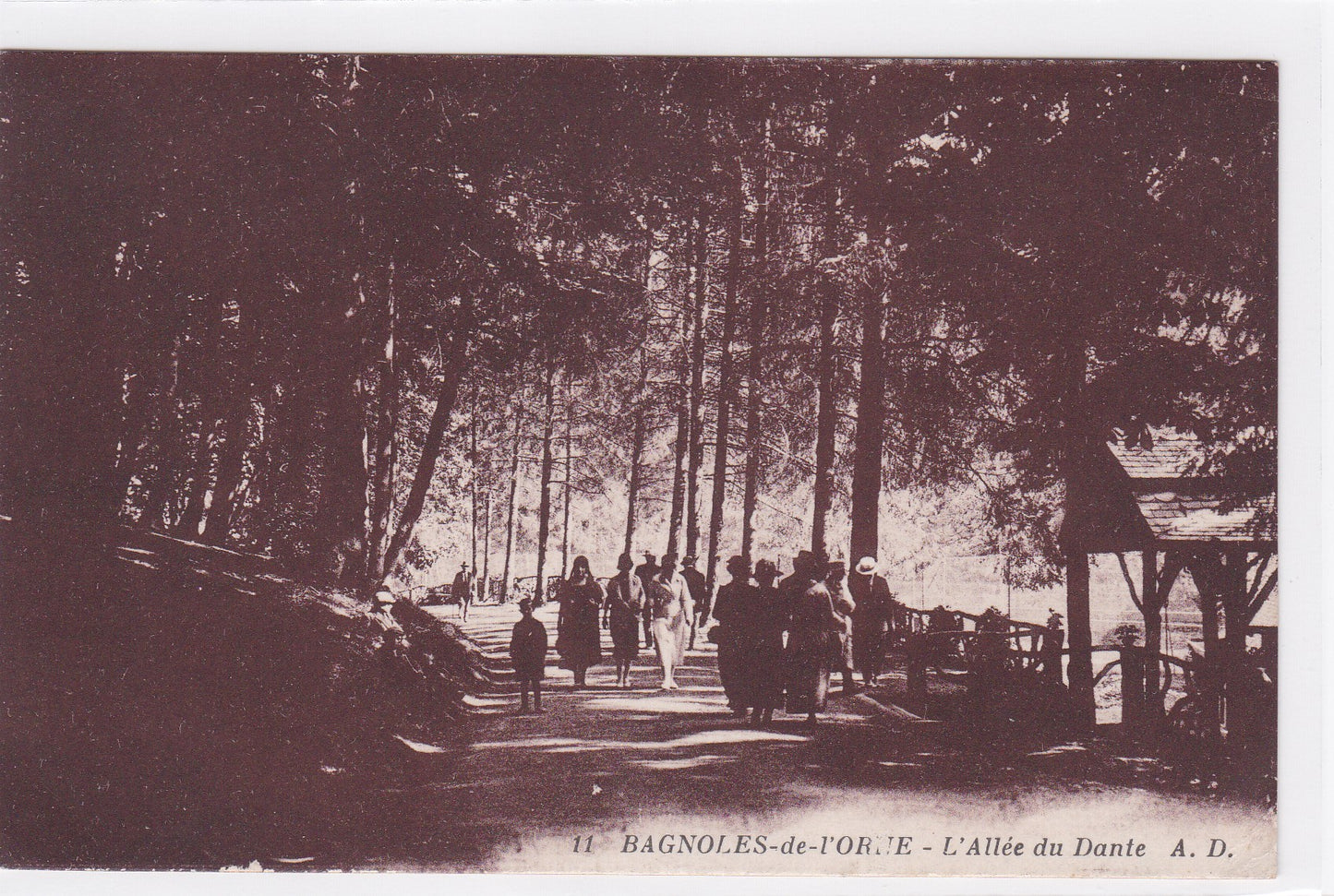 Carte Postale CPA 61 Bagnoles-De-L'Orne - L'Allée Du Dante