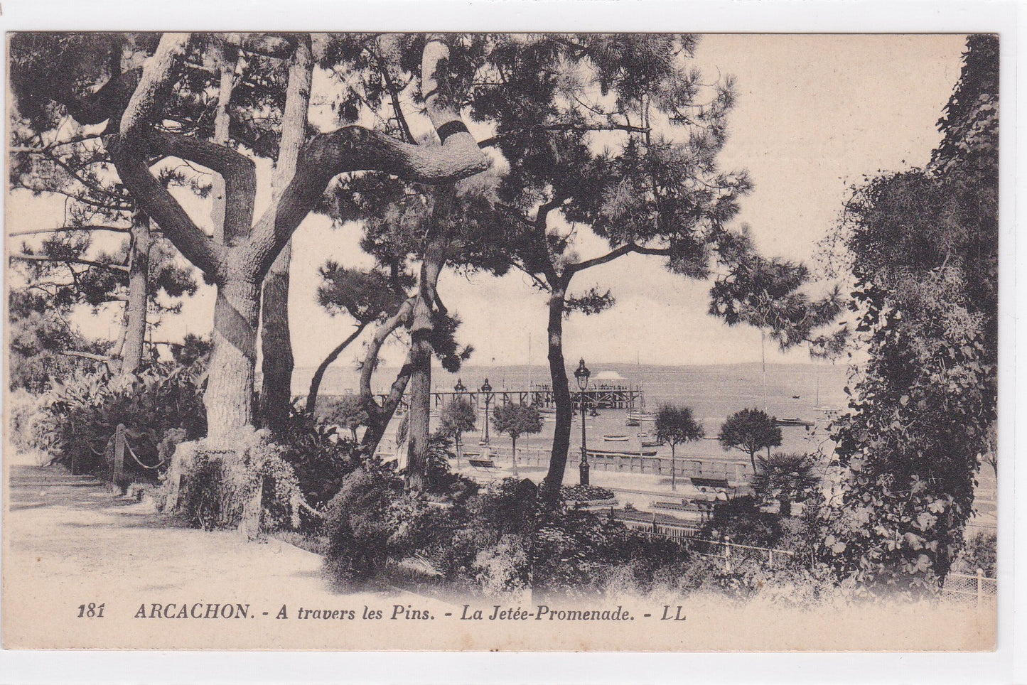 Carte Postale CPA 33 Arcachon - À Travers Les Pins - La Jetée-Promenade