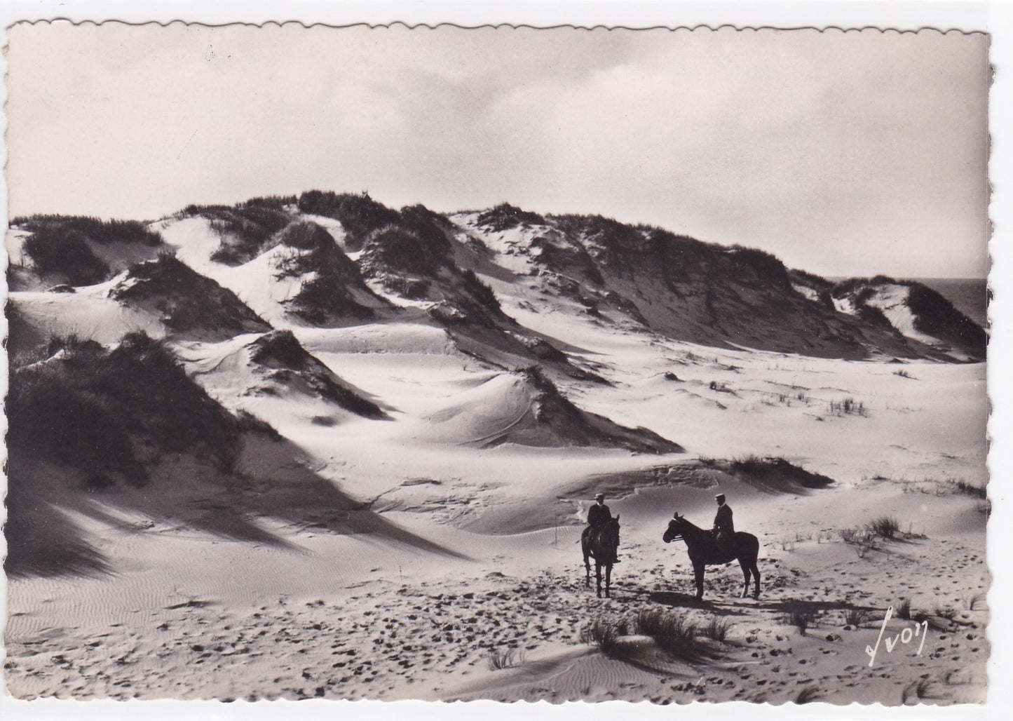 Carte Postale CPSM 62 Berck-Plage - Les Dunes