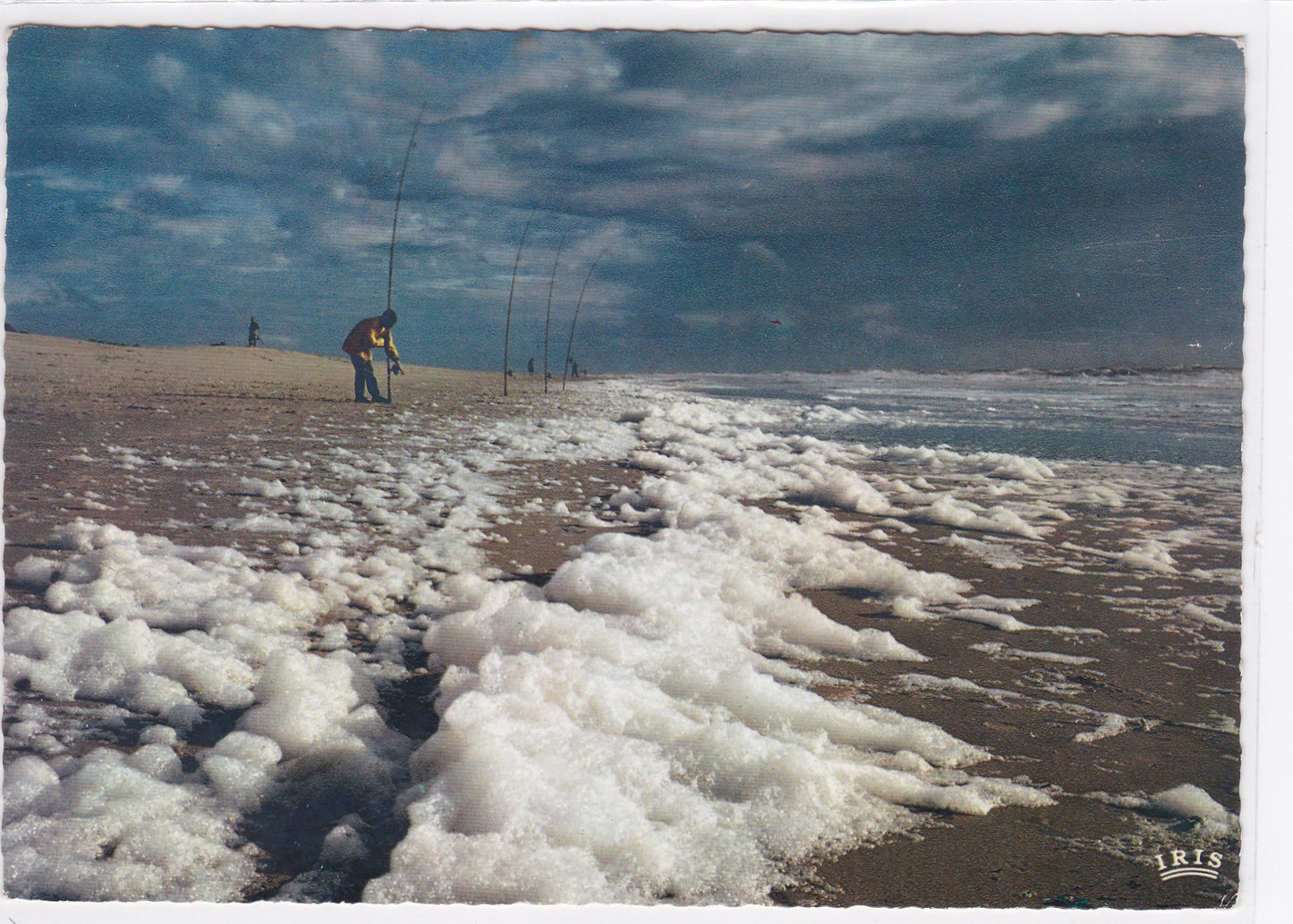 Carte Postale CPSM 17 Pêche Au Lancer Sur La Côte Atlantique