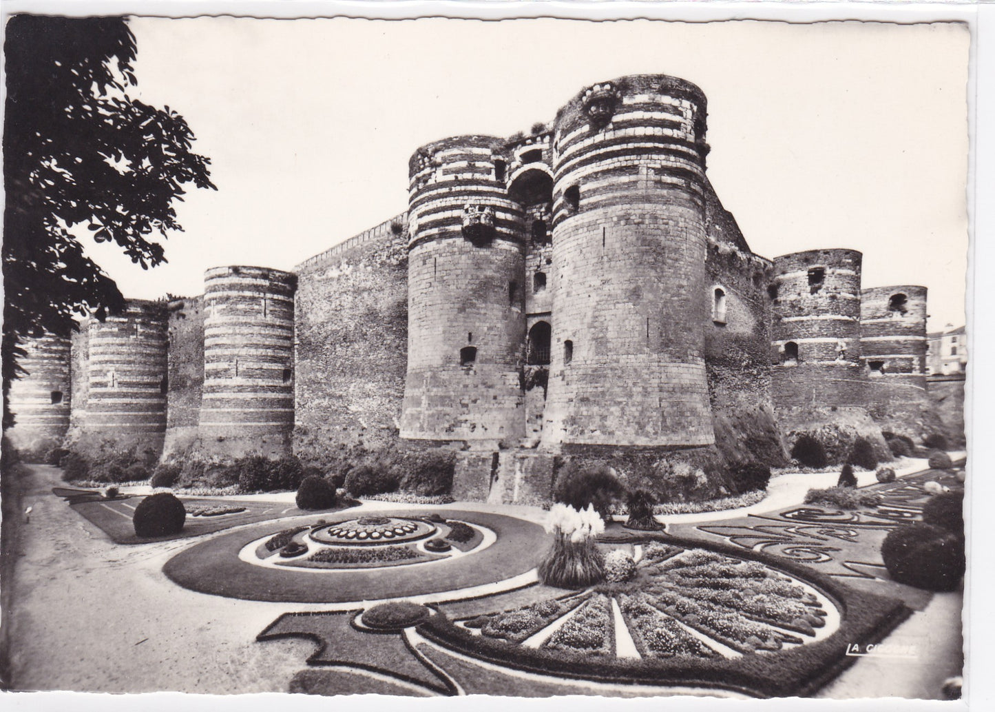 Carte Postale CPSM 49 Angers - Le Château