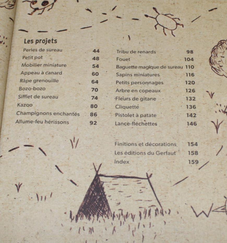 Sculptures Nature - Mes Premières Créations En Bois - Richard Irvine - Gerfaut