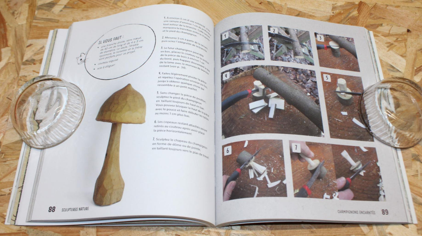 Sculptures Nature - Mes Premières Créations En Bois - Richard Irvine - Gerfaut