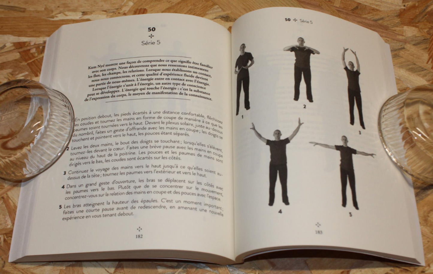 Danser L'Espace Avec Le Yoga Tibétain Kum Nyé - Tarthang Tulku - Almora 2024
